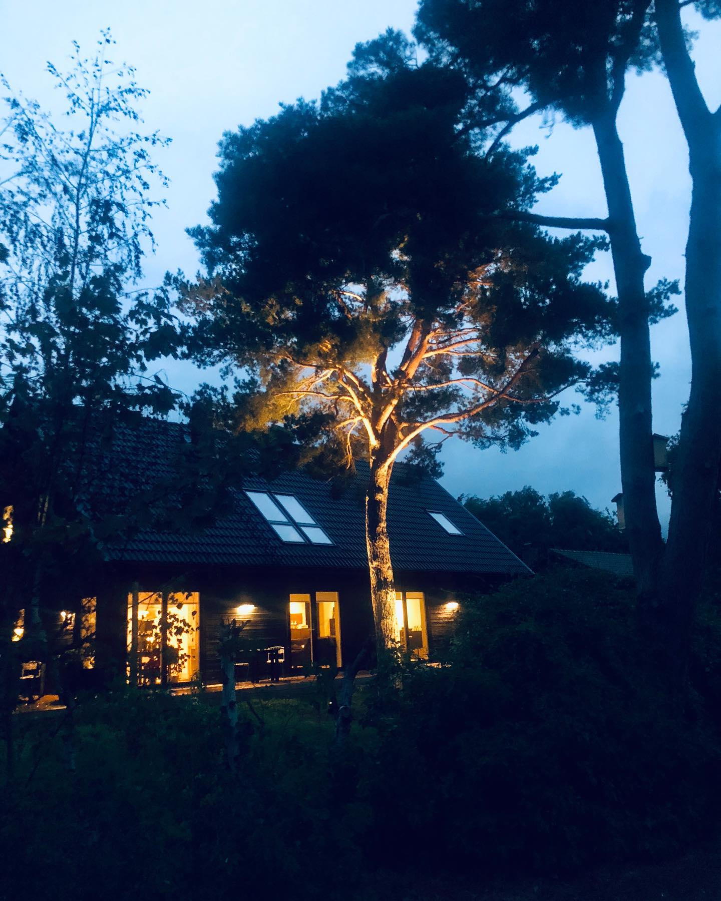 Ni vet väll om att vi även lyser upp trädgården? Allt från fasadbelysning till pollare och markstrålkastare. Hör av dig för att boka in en konsultation 💡